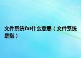 文件系统fat什么意思（文件系统是指）