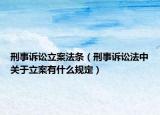 刑事诉讼立案法条（刑事诉讼法中关于立案有什么规定）