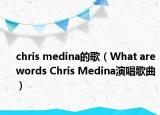 chris medina的歌（What are words Chris Medina演唱歌曲）