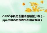 OPPO手机怎么用语音唤醒小布（oppo手机怎么设置小布语音唤醒）