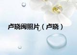 卢晓闽照片（卢晓）