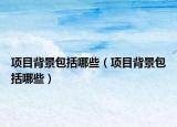 项目背景包括哪些（项目背景包括哪些）