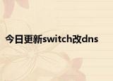 今日更新switch改dns