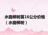 水曲柳树苗16公分价格（水曲柳树）