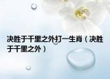 决胜于千里之外打一生肖（决胜于千里之外）