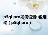 p5ql pro如何设置u盘启动（p5ql pro）
