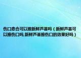 伤口愈合可以擦新鲜芦荟吗（新鲜芦荟可以擦伤口吗,新鲜芦荟擦伤口的效果好吗）