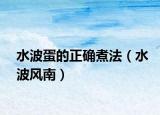 水波蛋的正确煮法（水波风南）
