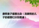 康熙皇子福晋出身（清康熙的儿子的福晋们分别是谁）