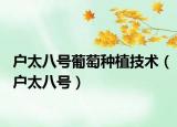 户太八号葡萄种植技术（户太八号）