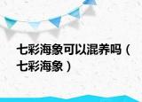 七彩海象可以混养吗（七彩海象）