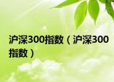 沪深300指数（沪深300指数）