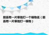 前面有一片草地打一个植物名（前面有一片草地打一植物）