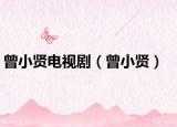 曾小贤电视剧（曾小贤）