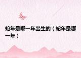 蛇年是哪一年出生的（蛇年是哪一年）
