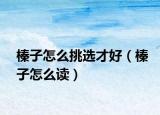 榛子怎么挑选才好（榛子怎么读）