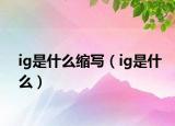 ig是什么缩写（ig是什么）