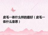 皮毛一体什么样的最好（皮毛一体什么意思）