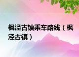 枫泾古镇乘车路线（枫泾古镇）