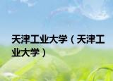 天津工业大学（天津工业大学）