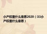 小产权是什么意思2020（﻿﻿小产权是什么意思）