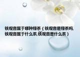 铁观音属于哪种绿茶（铁观音是绿茶吗,铁观音属于什么茶,铁观音是什么茶）