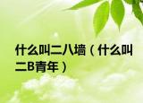 什么叫二八墙（什么叫二B青年）