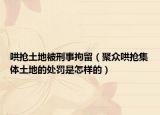 哄抢土地被刑事拘留（聚众哄抢集体土地的处罚是怎样的）