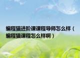 编程猫进阶课课程导师怎么样（编程猫课程怎么样啊）