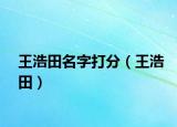 王浩田名字打分（王浩田）