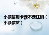 小额信用卡要不要注销（小额信贷）