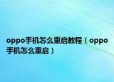 oppo手机怎么重启教程（oppo手机怎么重启）