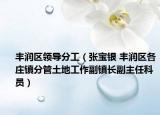 丰润区领导分工（张宝银 丰润区各庄镇分管土地工作副镇长副主任科员）