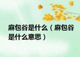 麻包谷是什么（麻包谷是什么意思）