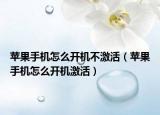 苹果手机怎么开机不激活（苹果手机怎么开机激活）