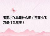 玉面小飞龙是什么梗（玉面小飞龙是什么意思）