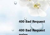 <html>
<head><title>400 Bad Request<title><head>
<body>
<center><h1>400 Bad Request<h1><center>
<hr><center>nginx<center>
<body>
<html>

