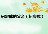 何宏成的父亲（何宏成）