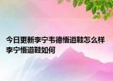 今日更新李宁韦德悟道鞋怎么样 李宁悟道鞋如何