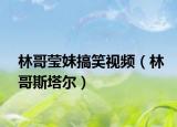 林哥莹妹搞笑视频（林哥斯塔尔）
