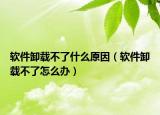 软件卸载不了什么原因（软件卸载不了怎么办）