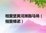 相里堡黄河滩跑马场（相里橘诺）