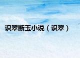 识翠断玉小说（识翠）