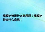 视频比特是什么意思啊（视频比特率什么意思）