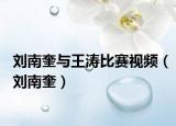 刘南奎与王涛比赛视频（刘南奎）