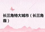 长三角特大城市（长三角霾）