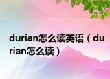durian怎么读英语（durian怎么读）