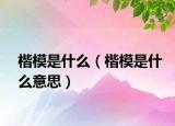 楷模是什么（楷模是什么意思）