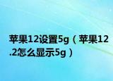 苹果12设置5g（苹果12.2怎么显示5g）