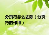 分页符怎么去除（分页符的作用）
